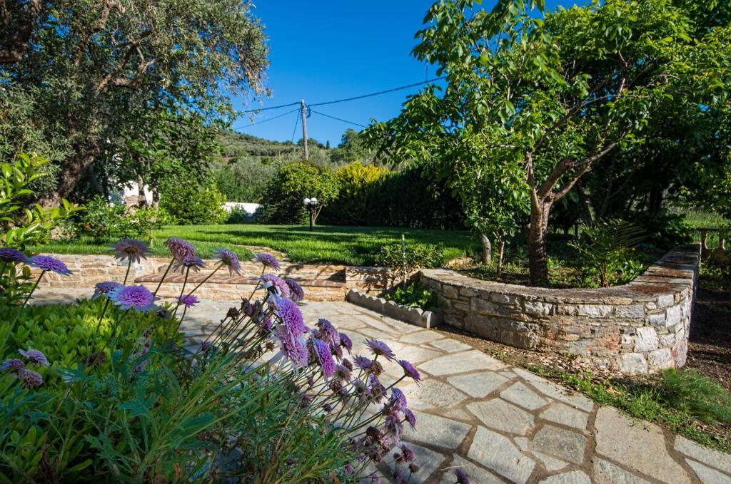 Ble Aparthotel Skopelos